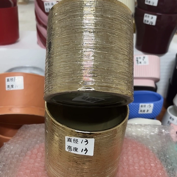 摆件陶瓷花盆的肉