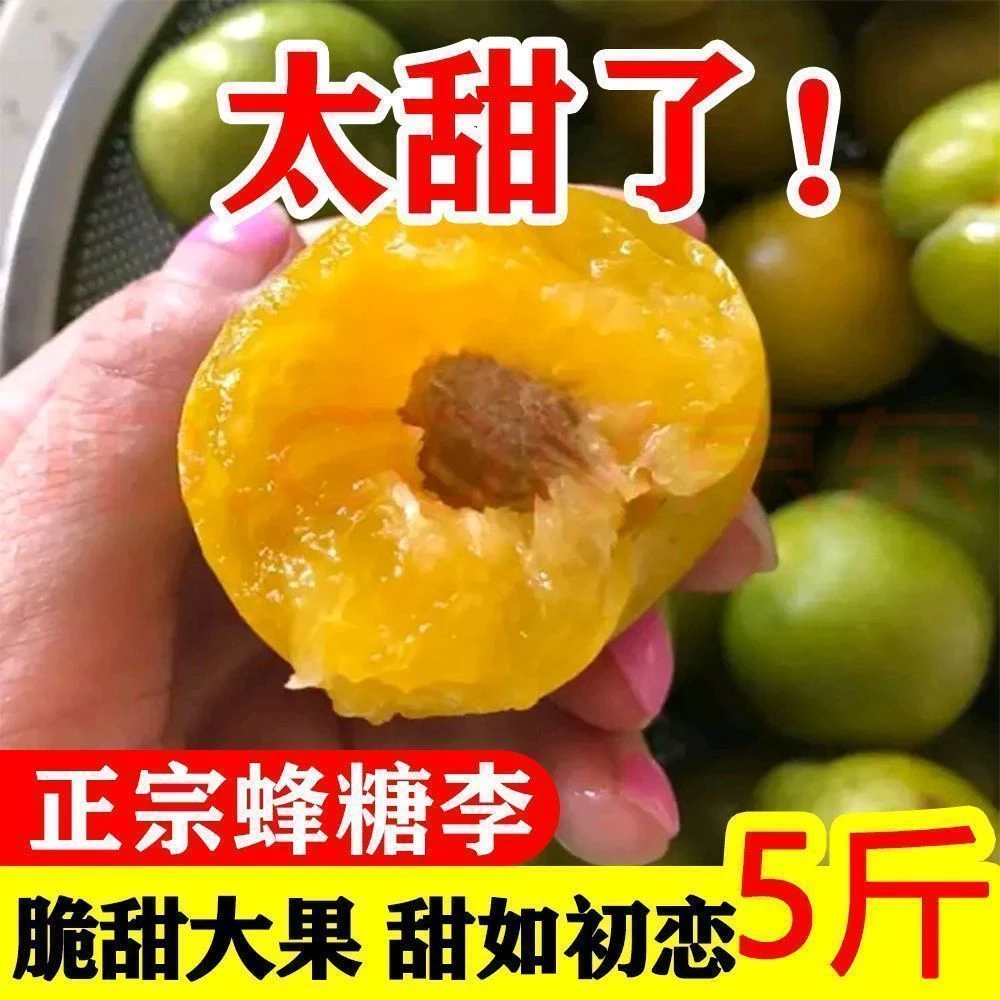 {顺丰京东}正宗新鲜当季蜂糖李脆甜整箱水果