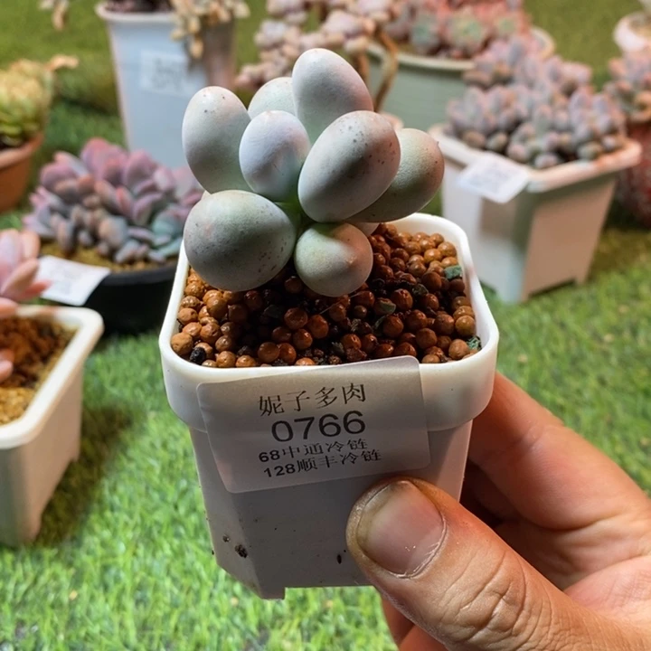 0766啊啊啊啊啊啊啊啊啊啊