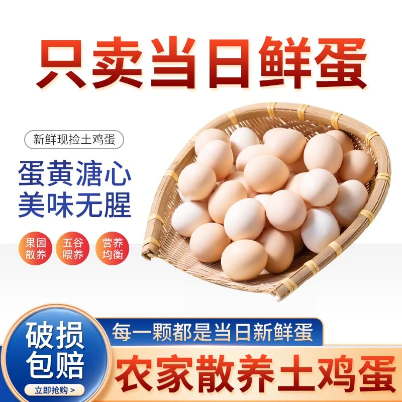 鲜鸡蛋林间散养土鸡蛋新鲜现捡