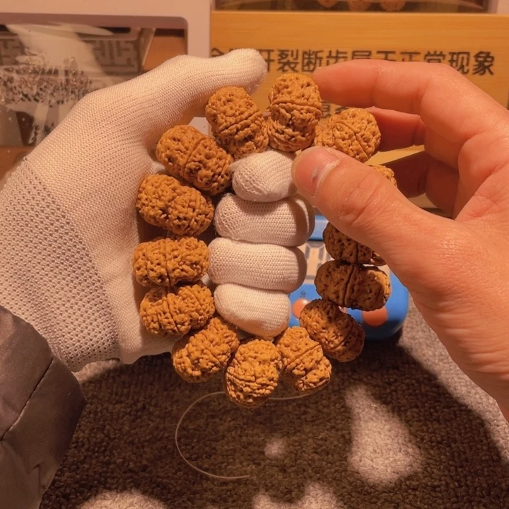 金刚菩提吊坠一**斗我想说我们不在