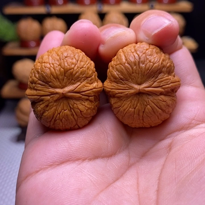 核桃云铁小金豆1号