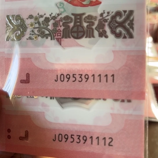 手****安蛇年纪念币标十连号91111