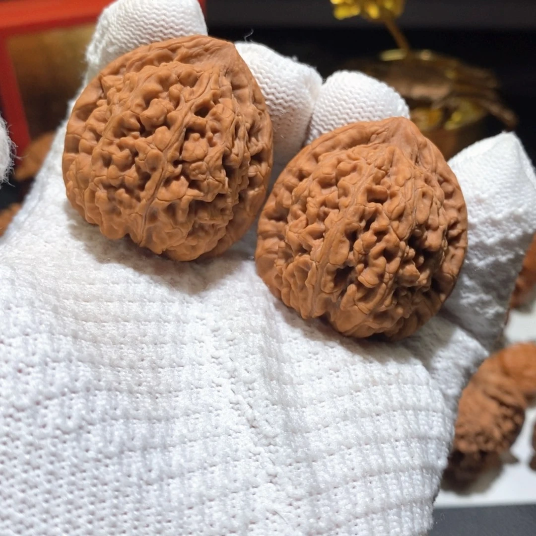 敞***）把件文玩核桃B0070蚂蚁王39（全）