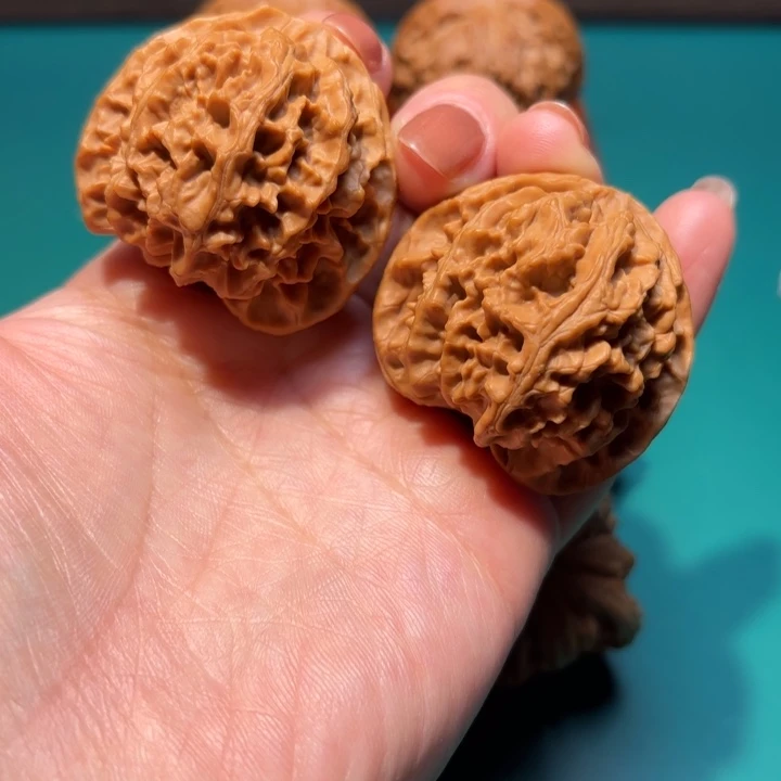 核桃40尺寸苹果园