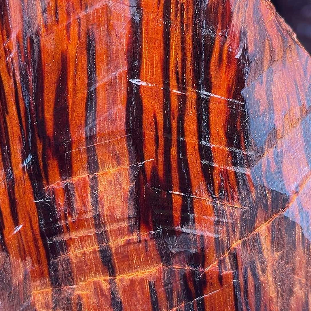 檀香紫檀（小叶紫檀）龙麟底金星