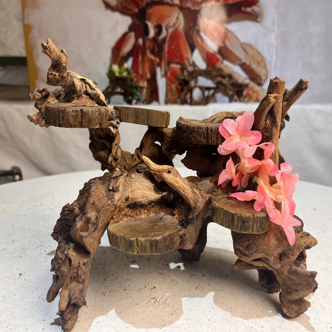 寄居蟹造景沉木尺寸.30.25.21