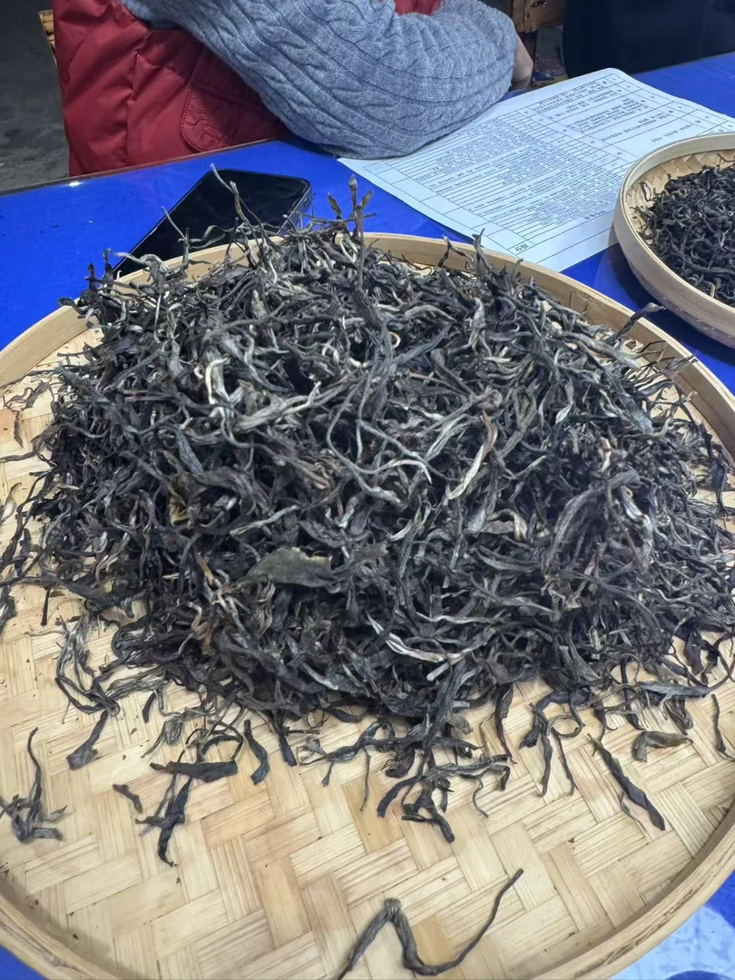 【92】24年太阳箐春茶