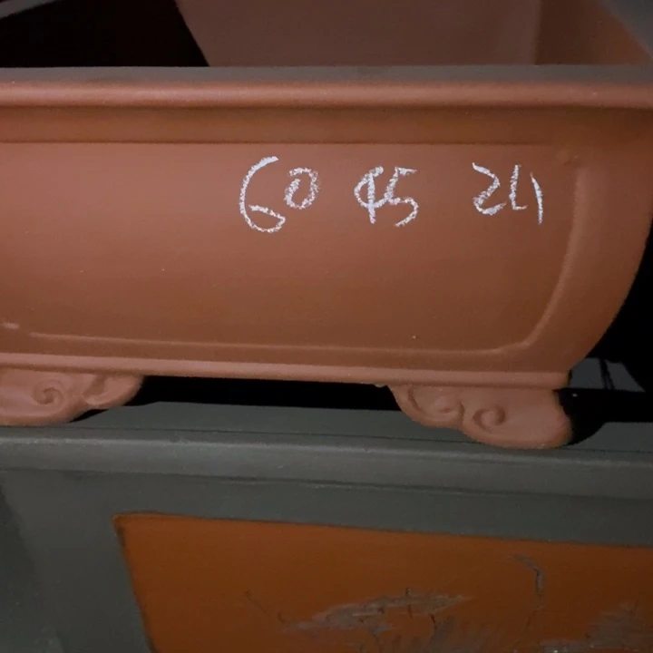 紫砂花盆只顾看电视剧罢了