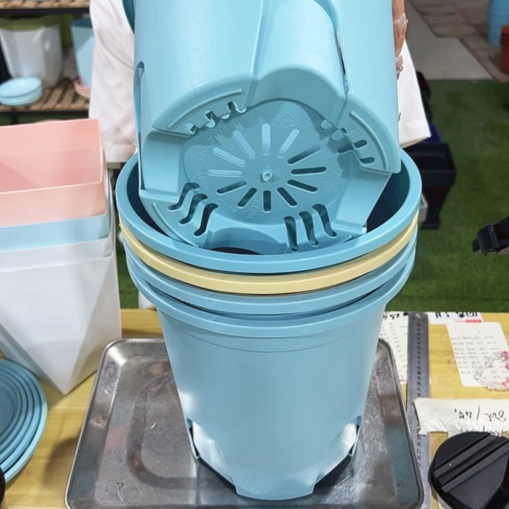 特价圆控口24高24混色无托5只