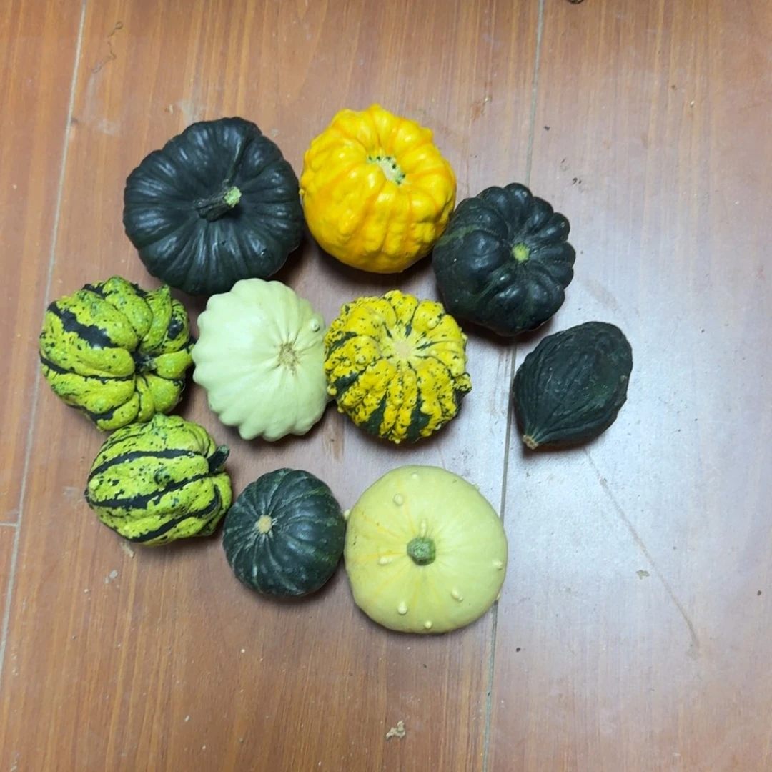 微*葫芦啊啊啊啊啊啊啊啊啊啊