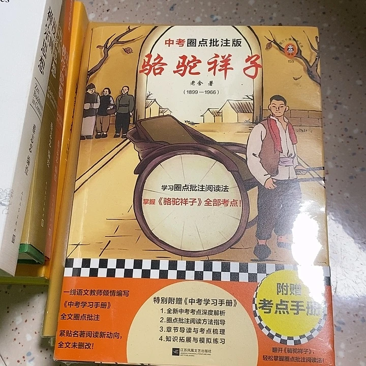 骆驼祥子中考圈点批注版