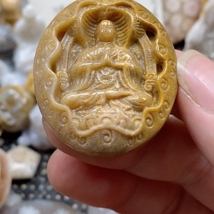 颈饰未镶嵌硅化珊瑚（珊瑚玉）