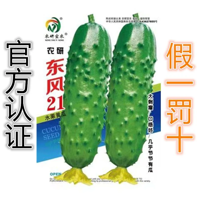 东风21黄瓜种子:100粒装。超好吃,节节有瓜。春秋两季种植