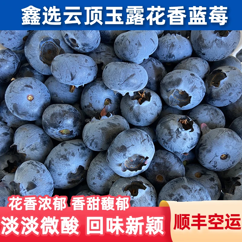 鑫选 云南云顶玉露花香蓝莓4-8盒花香浓郁香甜馥郁淡微酸顺丰空运