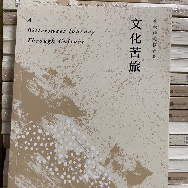 文化苦旅 平装带塑封