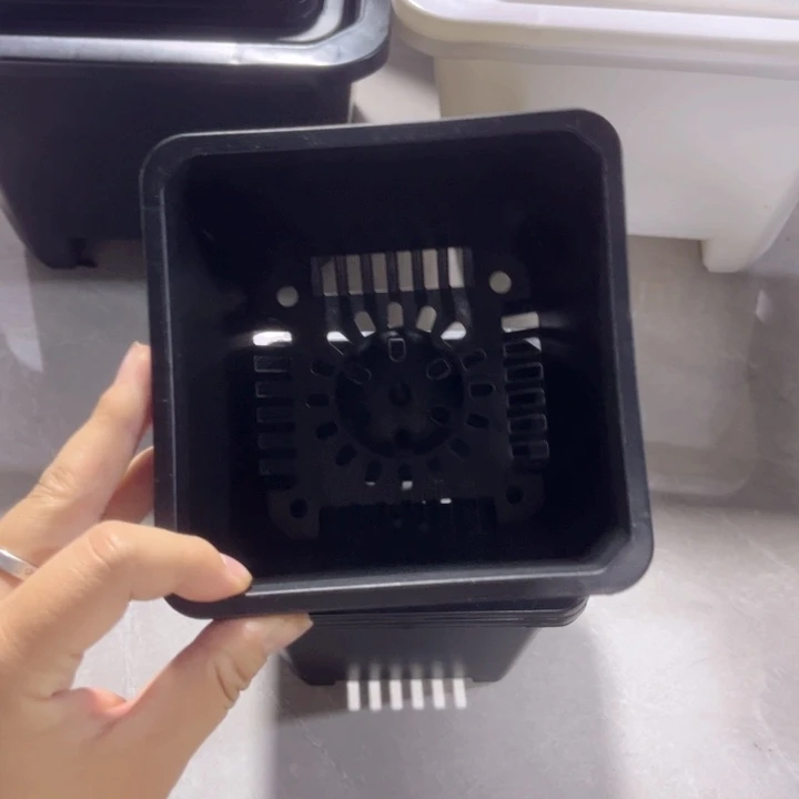 黑方口11高8一组25个