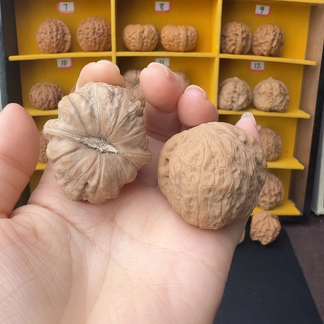 把件文玩核桃南瓜，歪，介意勿拍