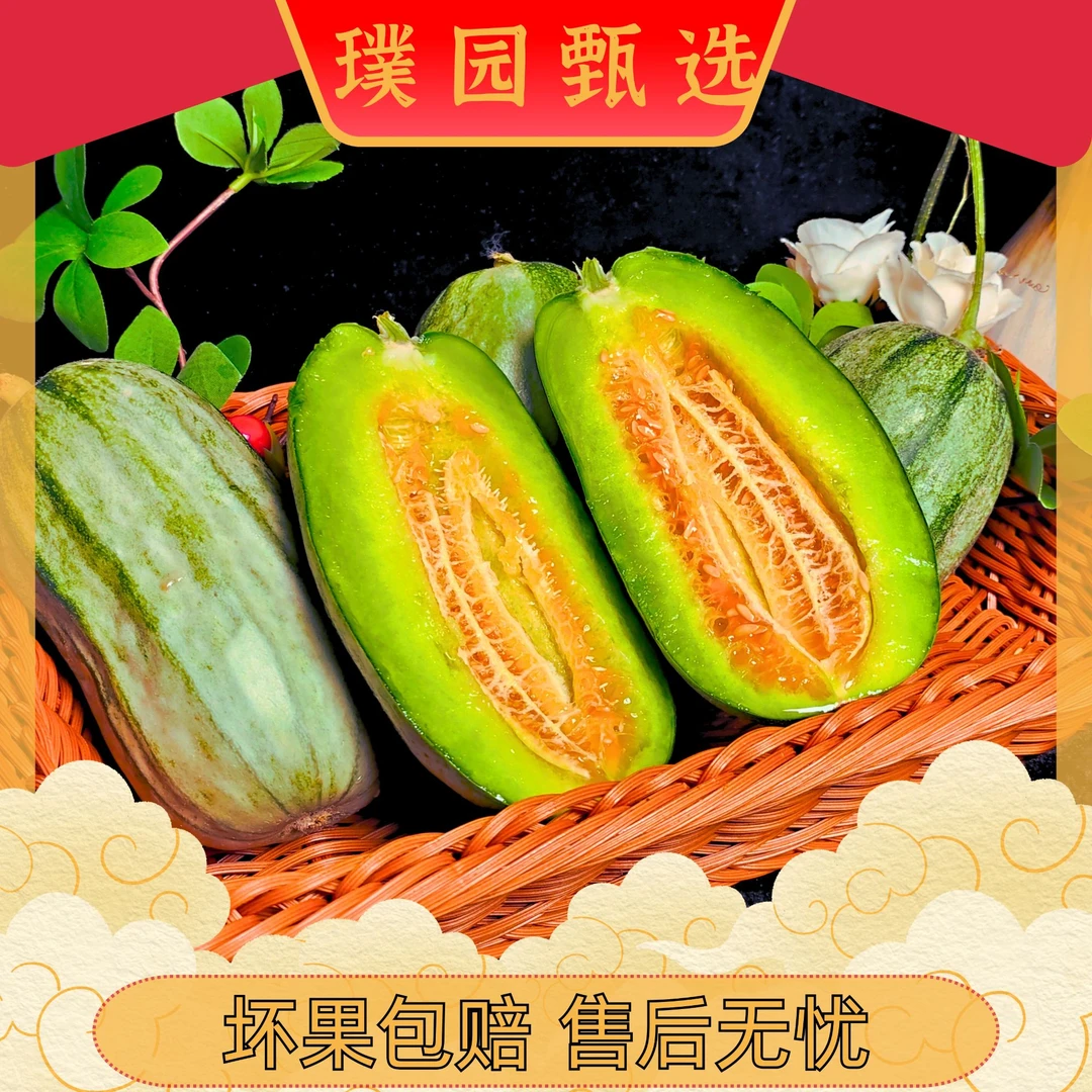 【现摘现发】头茬精品博洋72甜瓜山东潍坊清脆甜香净重4.5-5斤