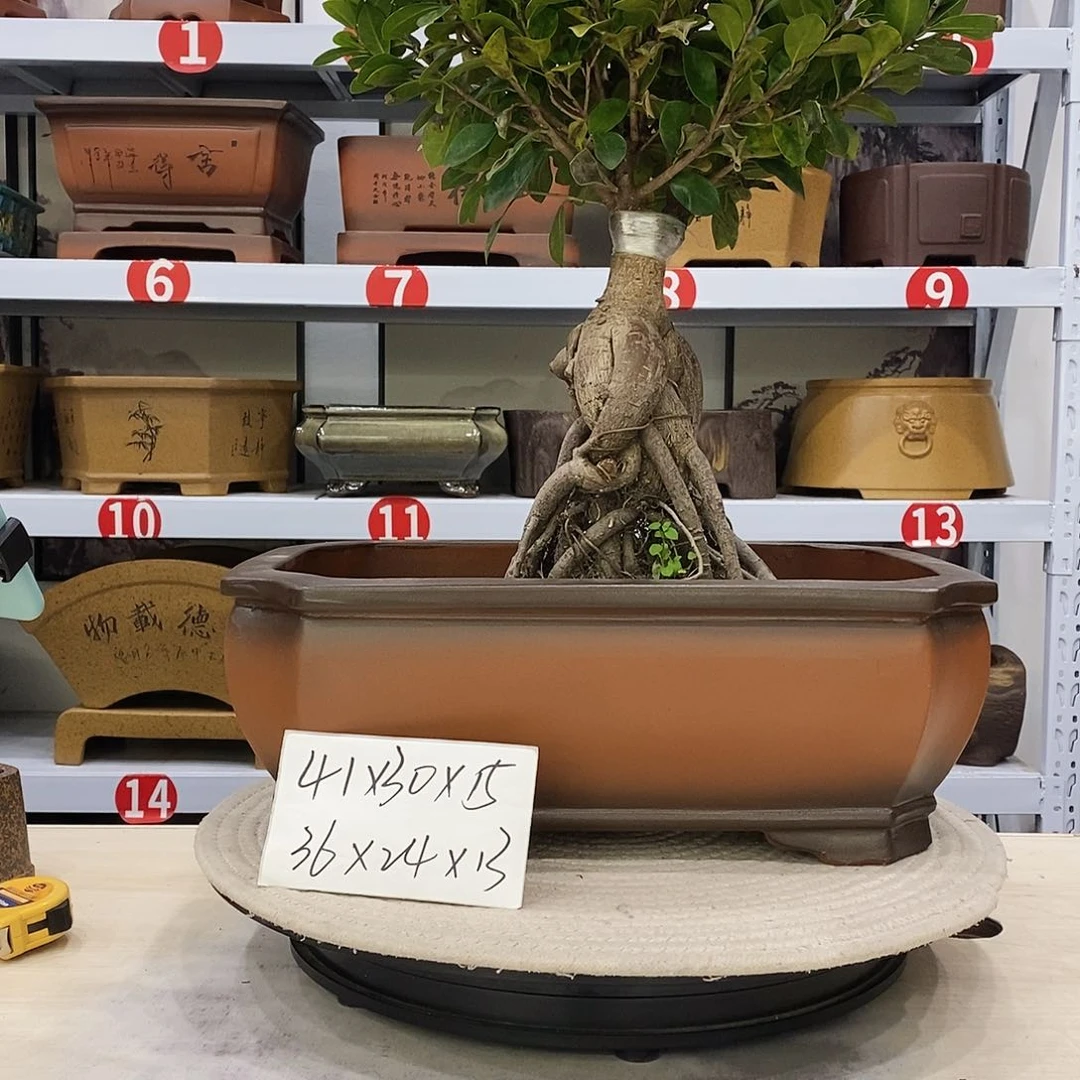 紫砂花盆紫砂艺术