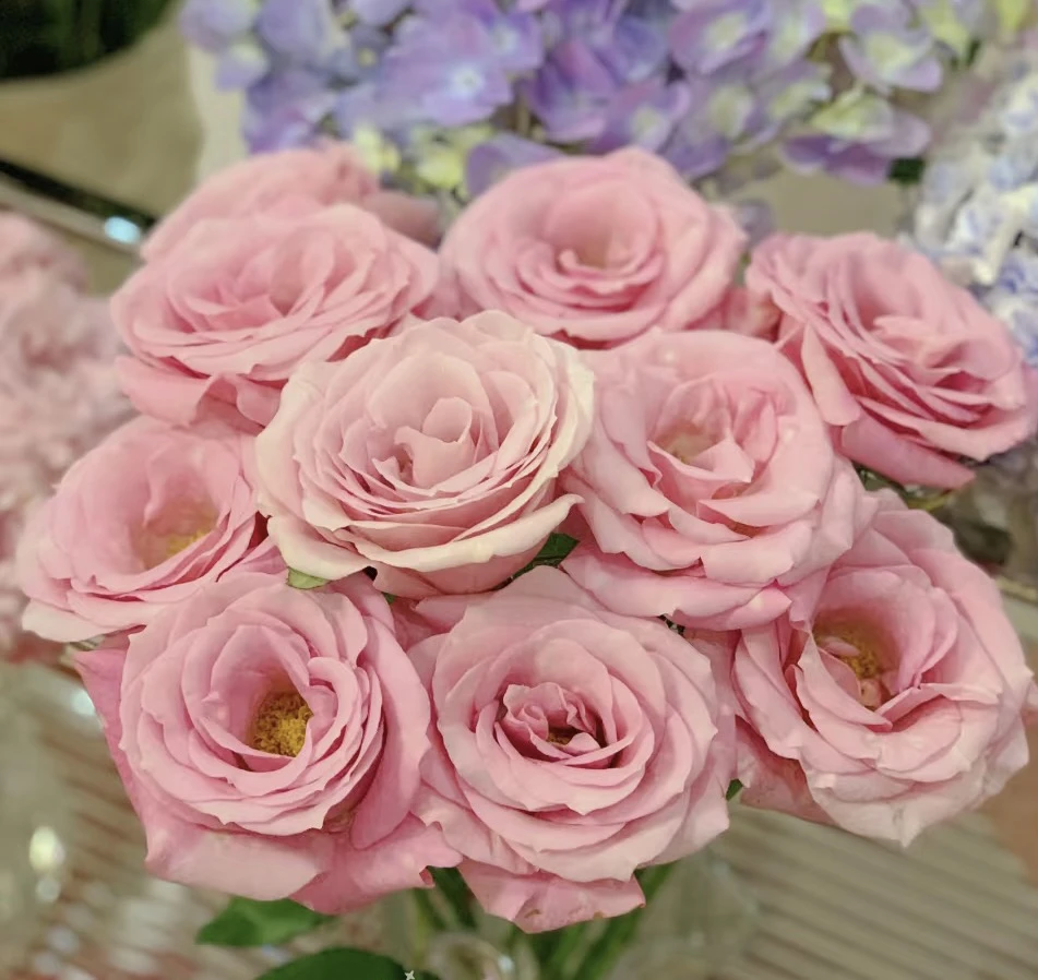 【九歌】花农直发，全场任意两单顺丰冷链包邮，0度以下必拍保温棉！