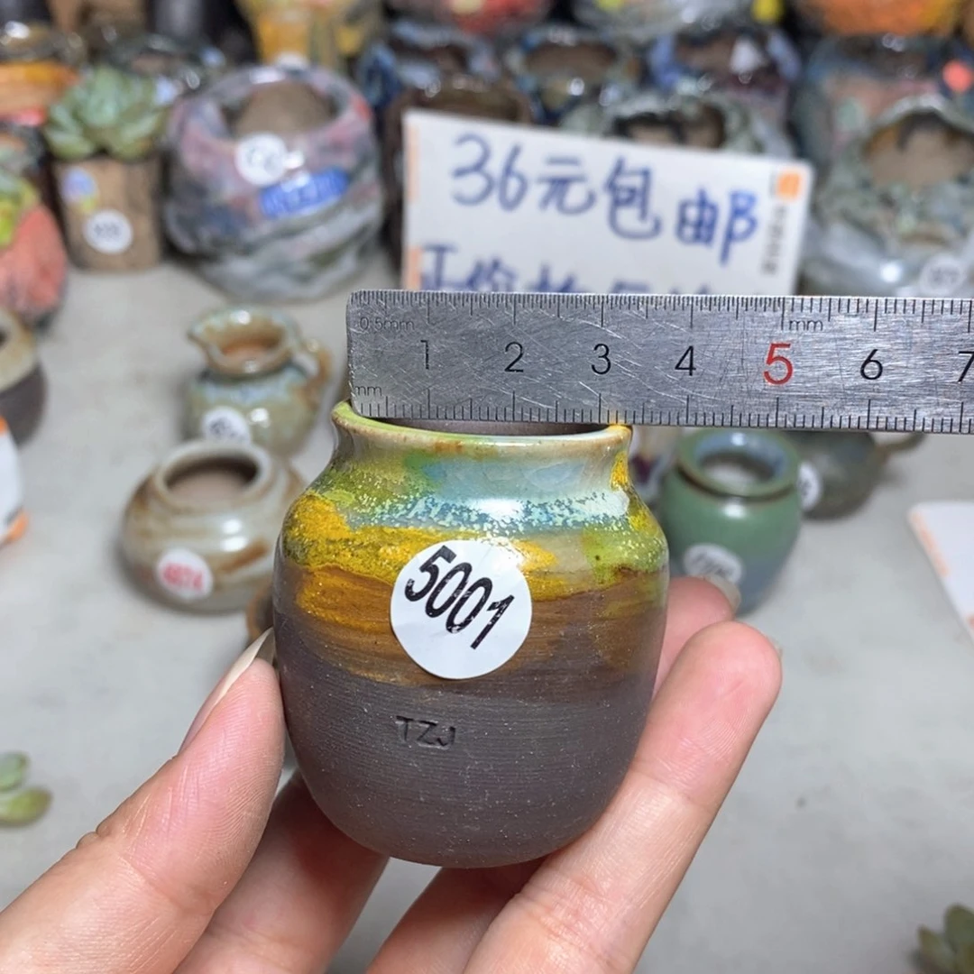 拍5送一个小礼物