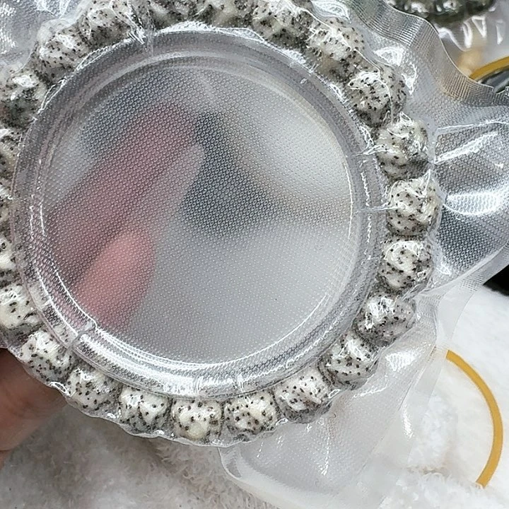 星月菩提手串357灭火星月菩提无相10单圈