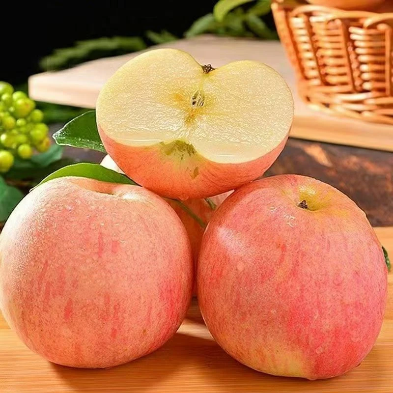 【坏果包赔】陕西高山苹果红富士脆甜多汁带箱9-10斤坏果包赔F