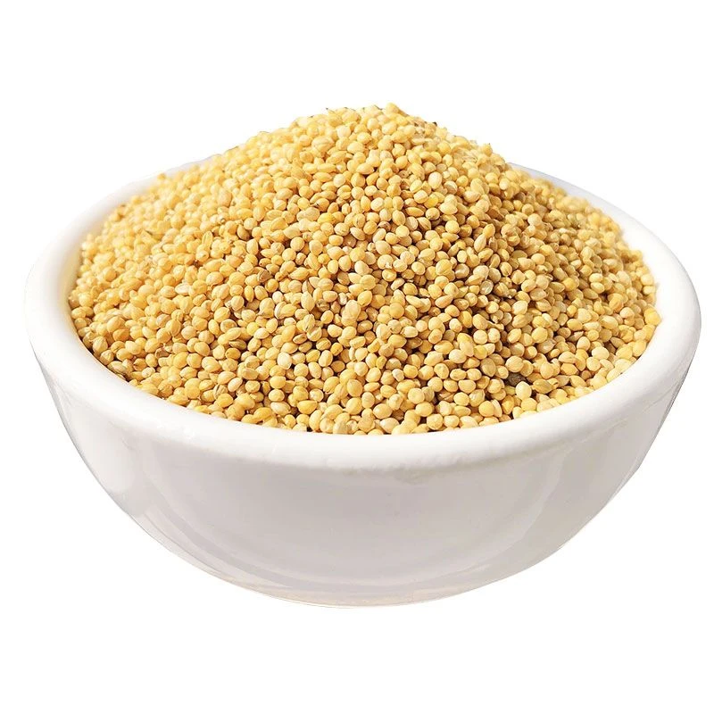 优质带壳黄谷子鹦鹉食粮专用适用于虎皮饲料牡丹玄凤等中小型鸟