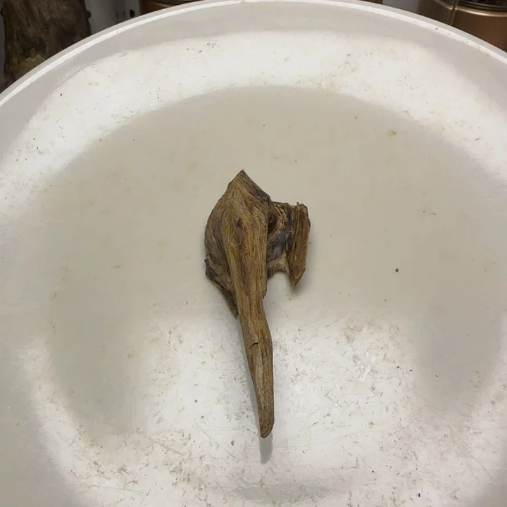 木***西木手工艺大山野虎斑料5.8克