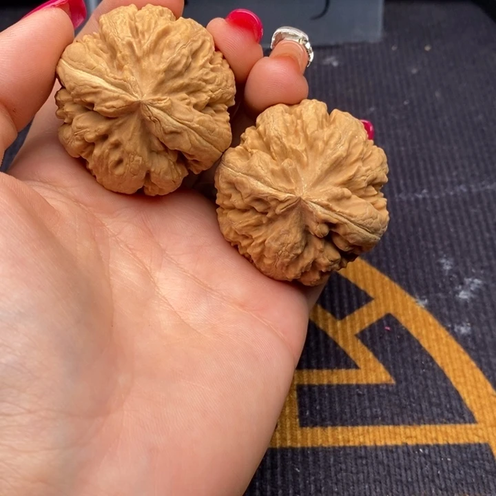 从***山把件文玩核桃霸王龙