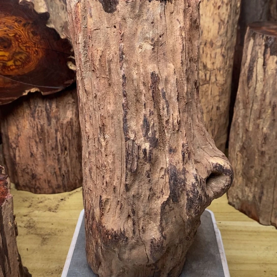 大叶紫檀（黑酸枝木类）任****打111