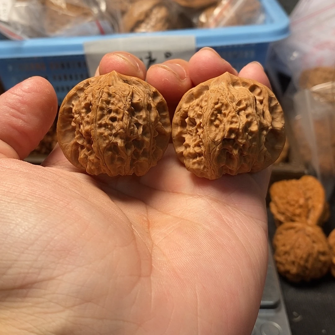 1文玩核桃龙门马蹄39-511