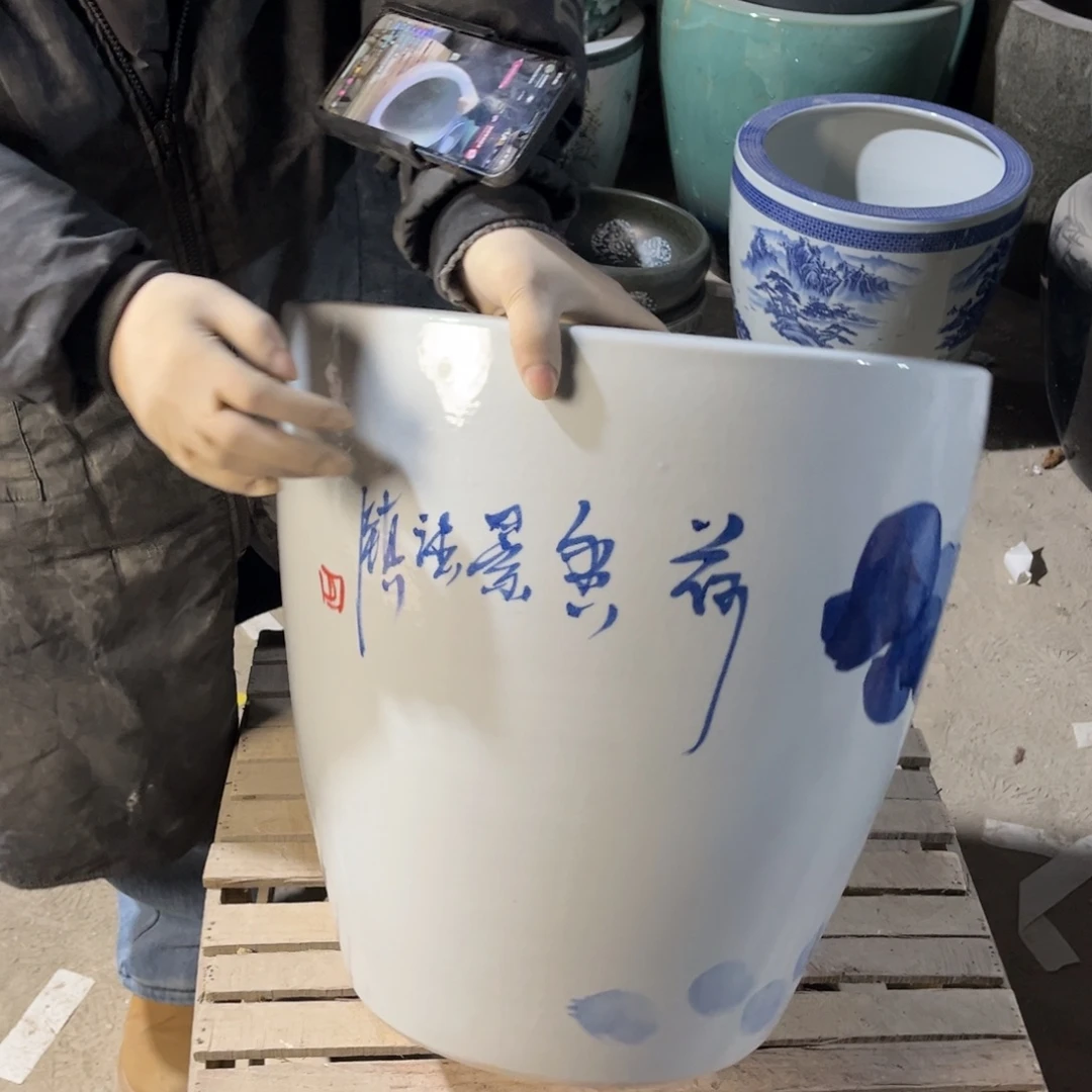 瓷片兰荷花43高度43.88888