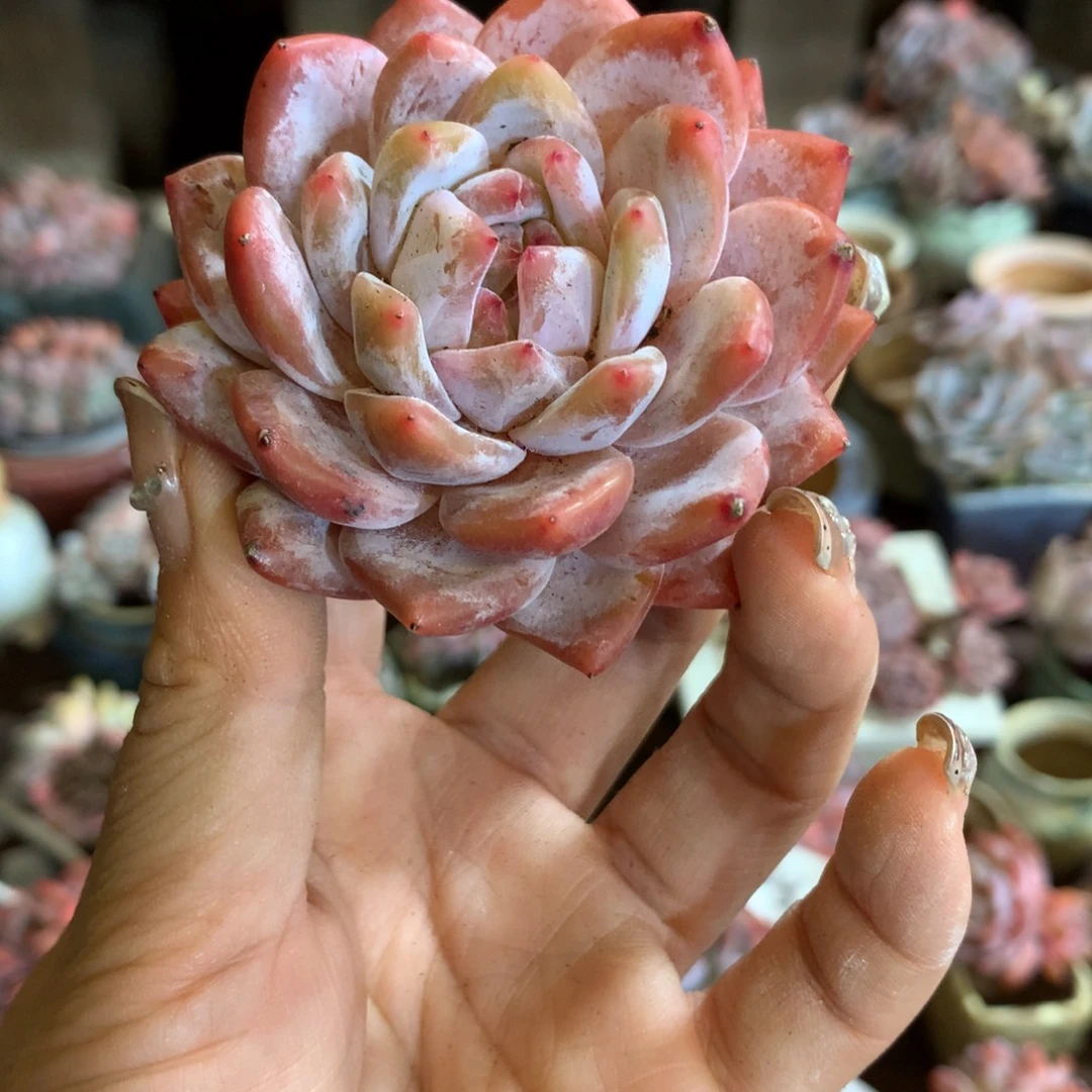 哈哈哈哈哈哈哈哈哈哈哈