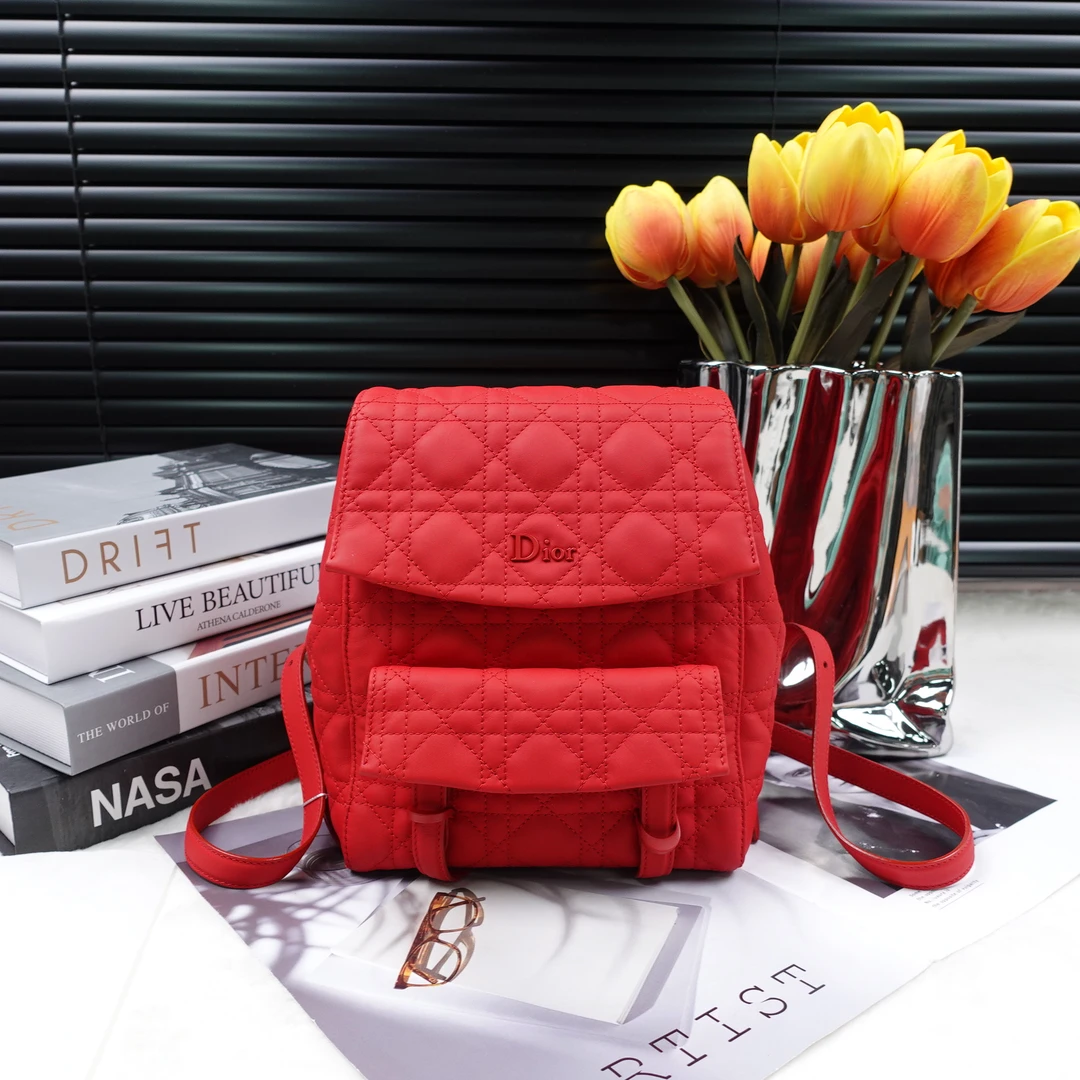 95新 DIOR/迪奥 双肩包/T10214000