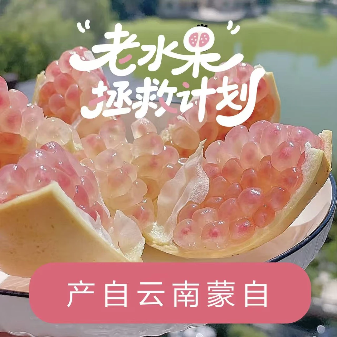 池雨【老水果拯救计划】正宗云南蒙自水晶石榴新鲜应季水果爆甜多汁