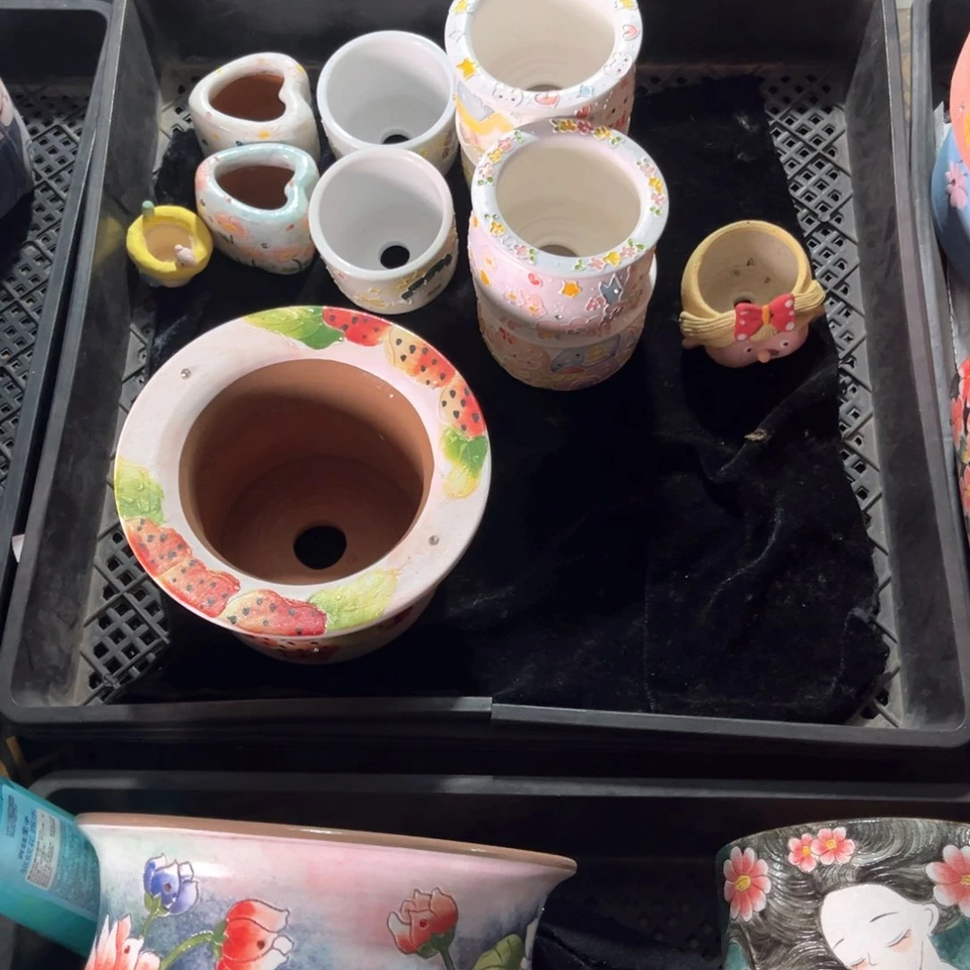m****茶茉莉拍多肉花盆