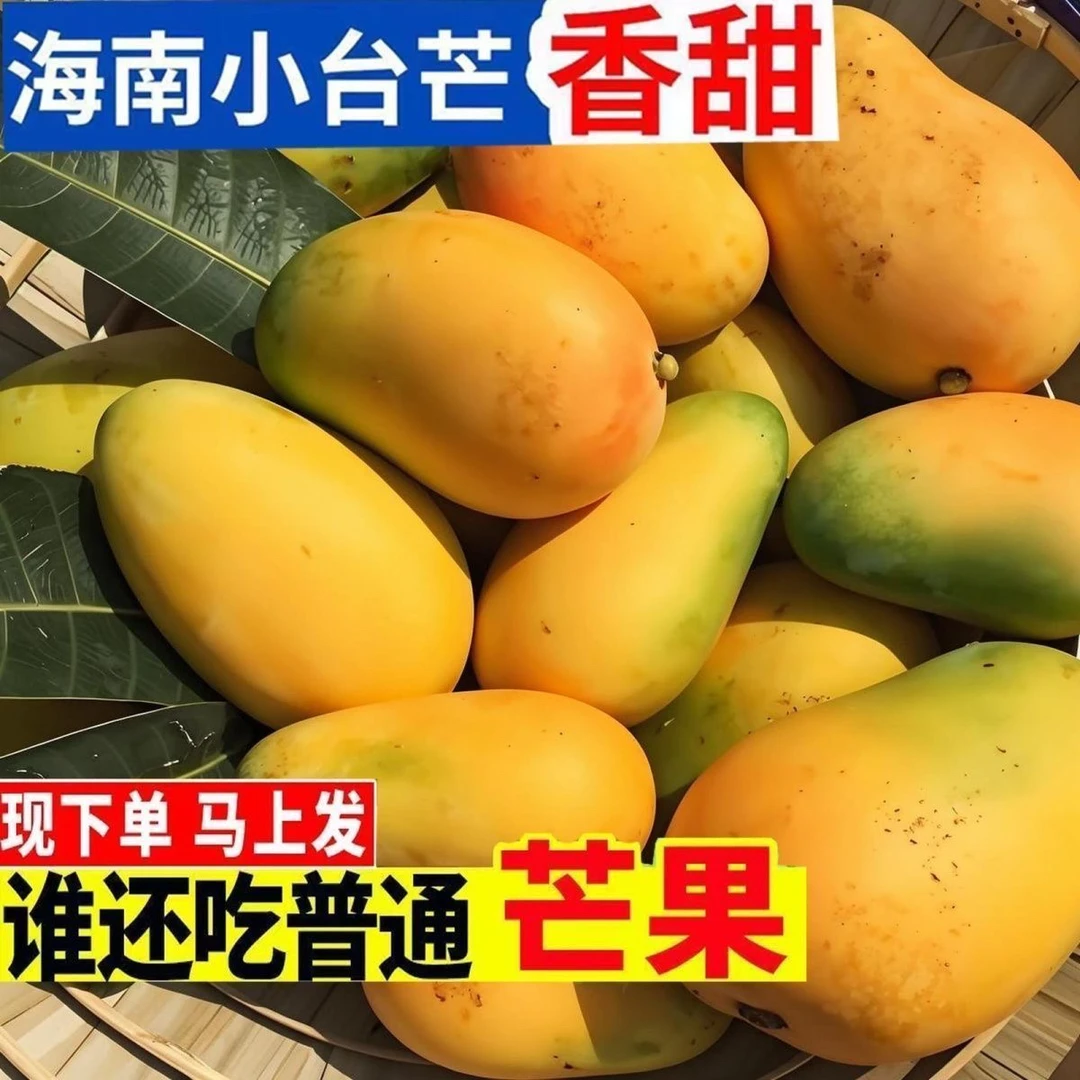【收到即食】3海南小台农芒3-5斤小中大果九成熟带黄坏果包赔芒果