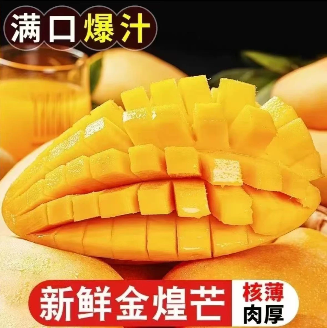 【催熟食用】正宗海南金煌芒带箱9-10斤单果150+g以上坏果包赔