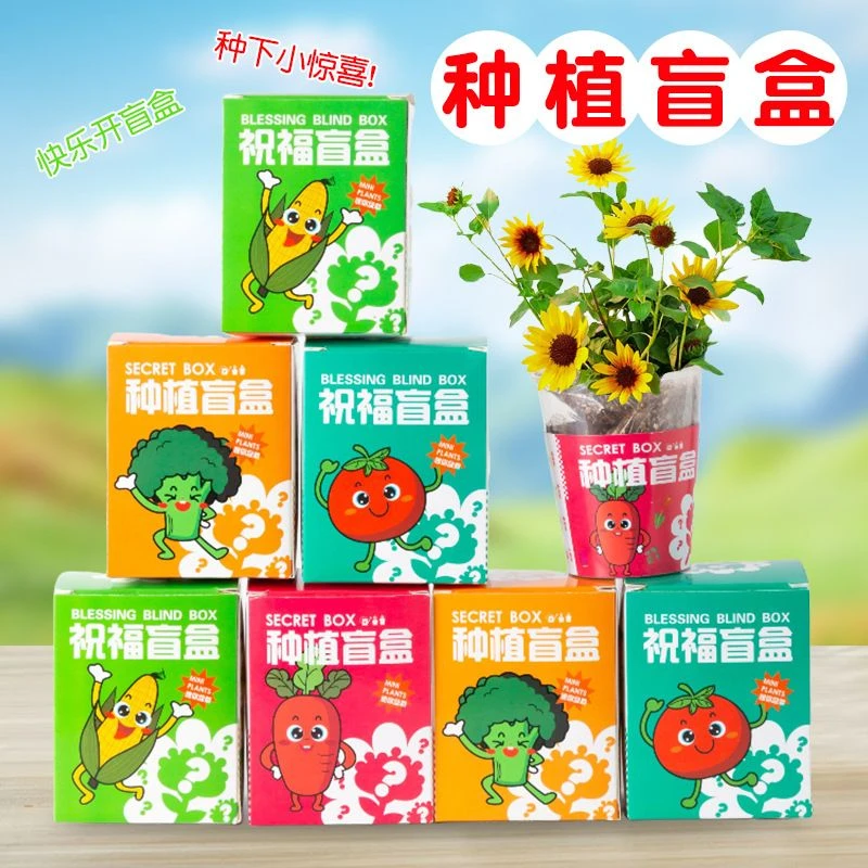 种植盆栽班级奖励礼物办公室桌面绿植小氧吧