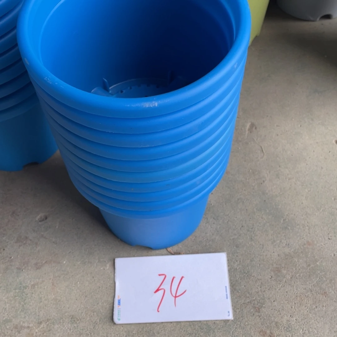 编号是34号的34号的