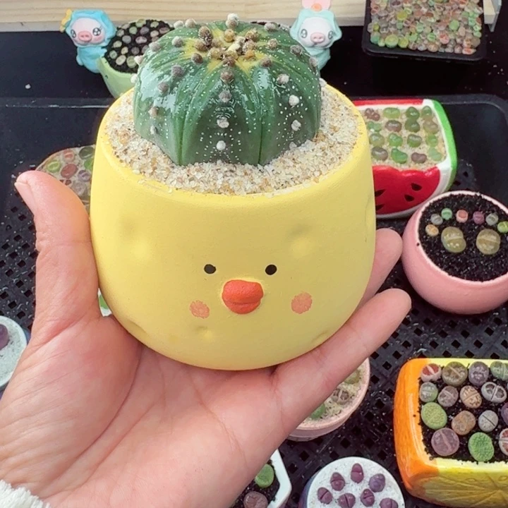 691零下地区记得拍保温箱满18包邮