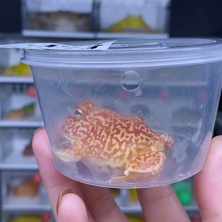特价秒杀现货特价