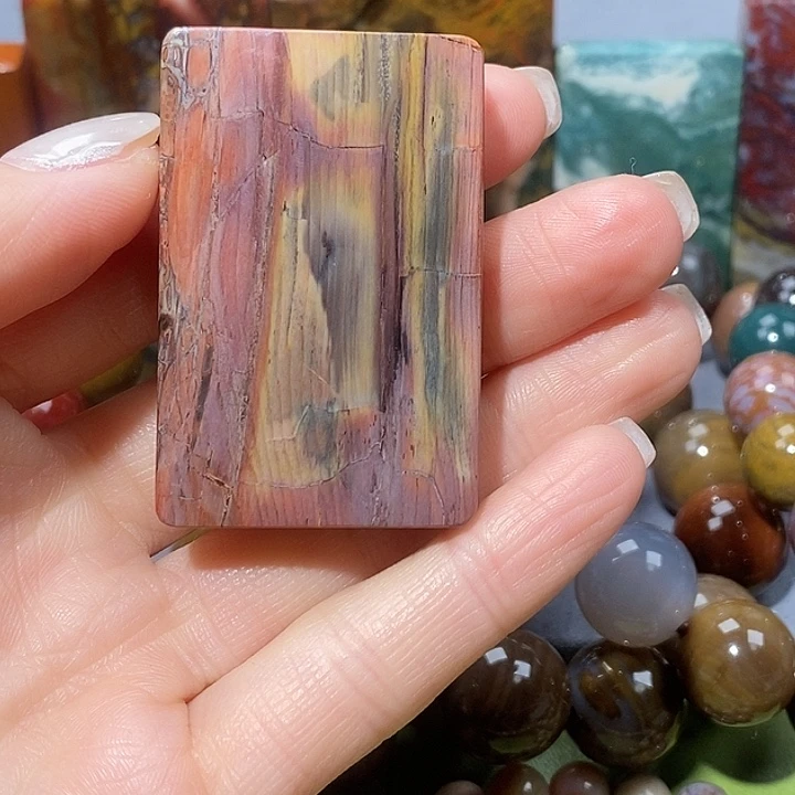 曾***涯硅化玉未镶嵌天然北票树化玉吊坠