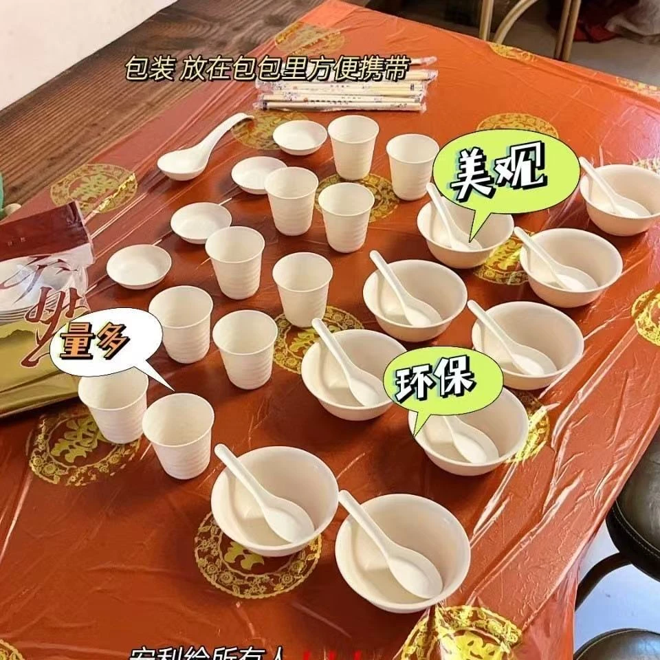 新疆包邮-年货节福利一次性餐具豪华套装方便大气