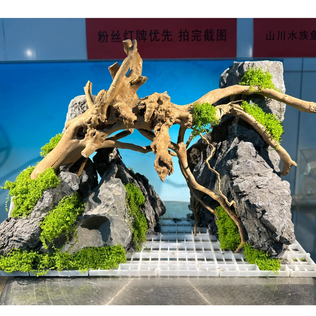 （直播间选购）青龙石 松皮石鱼缸造景 一体骨架 一物一拍