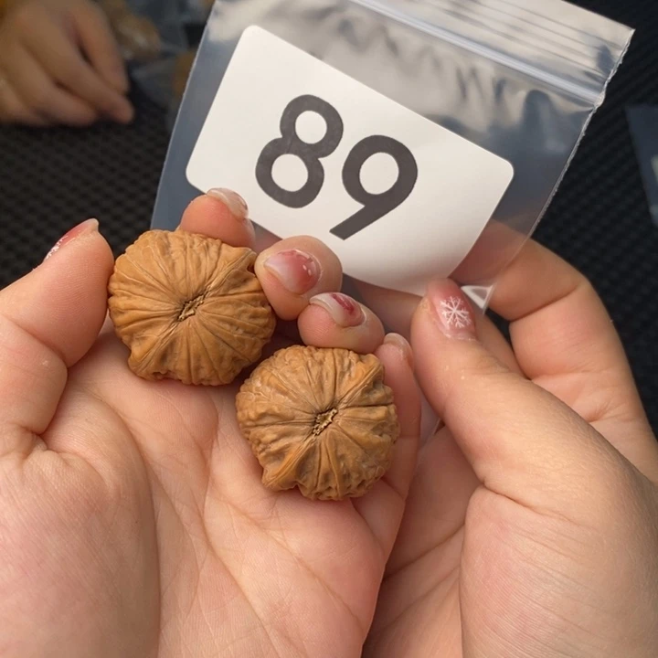 核桃89号铁锤妹妹34尺