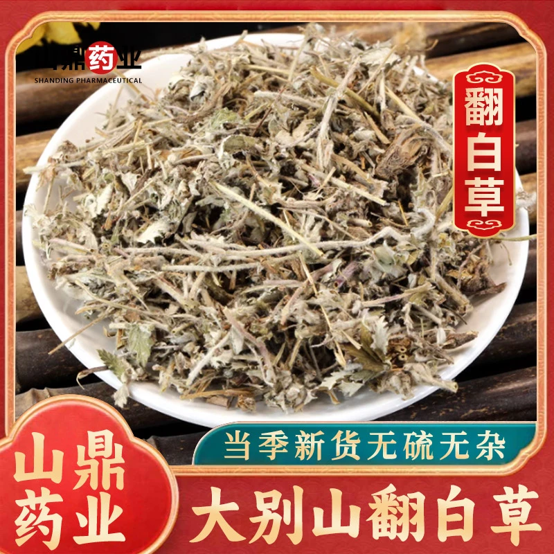 山鼎药业【翻白草】 正宗翻白草 散装干货翻白 反白草番白草