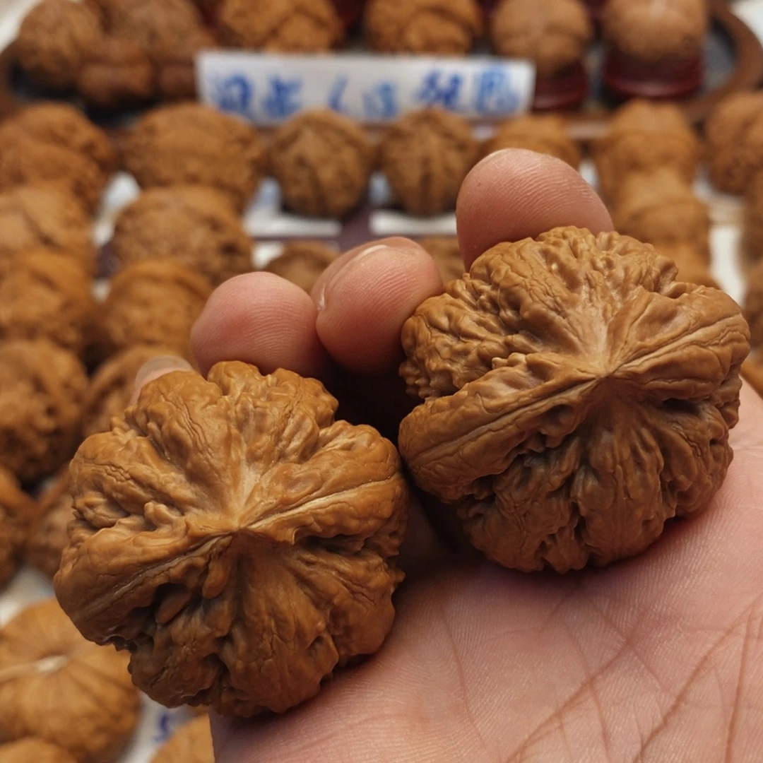 文玩核桃把件鸿****.41尺 全品霸王龙 66